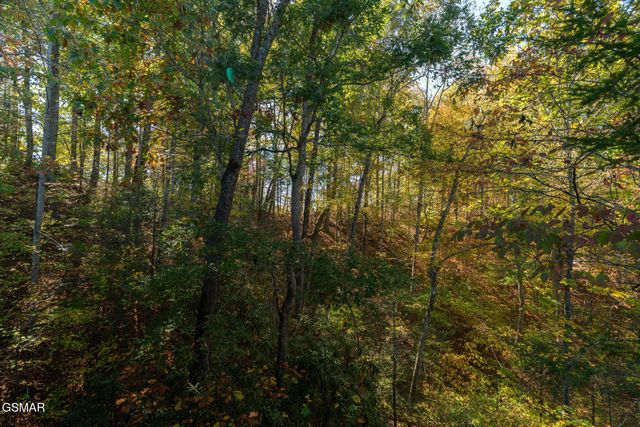 753 Glory Ridge Way, Gatlinburg, TN 37738