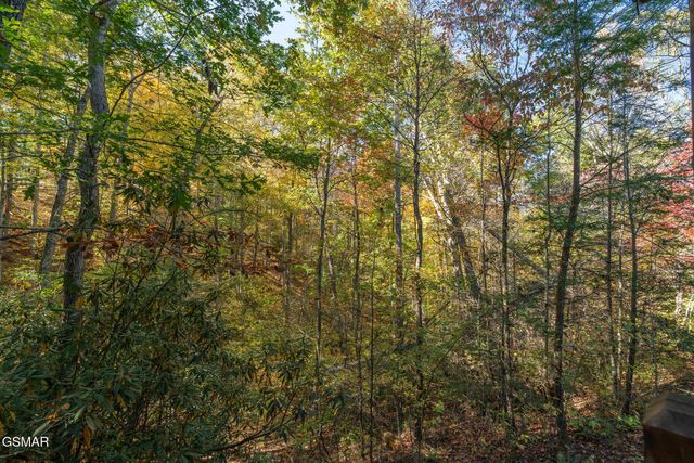 753 Glory Ridge Way, Gatlinburg, TN 37738