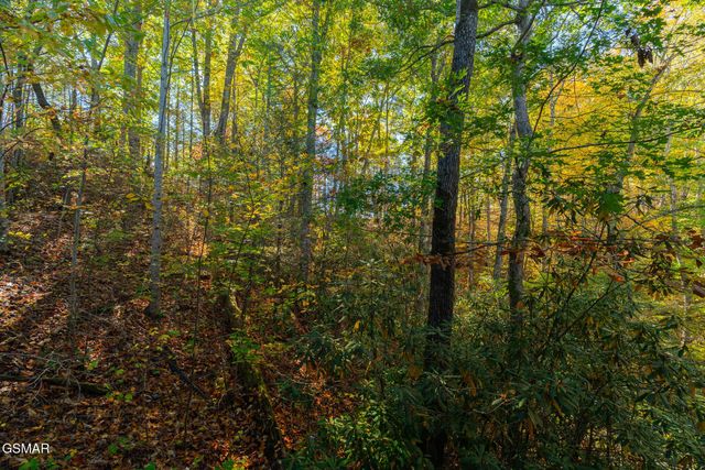 753 Glory Ridge Way, Gatlinburg, TN 37738