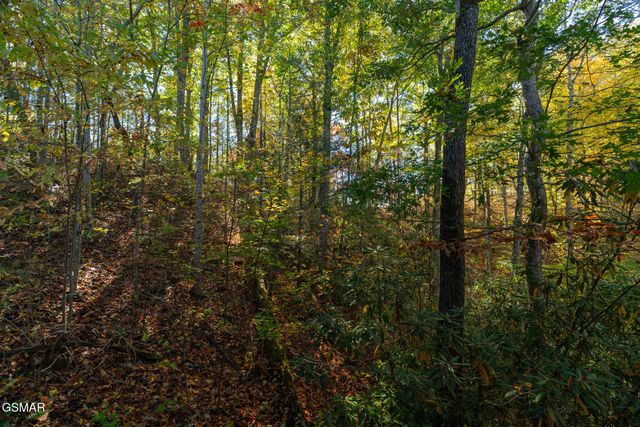 753 Glory Ridge Way, Gatlinburg, TN 37738