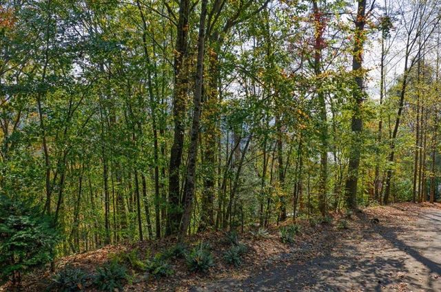 LOT 81 Lillie Drive, Ellijay, GA 30540