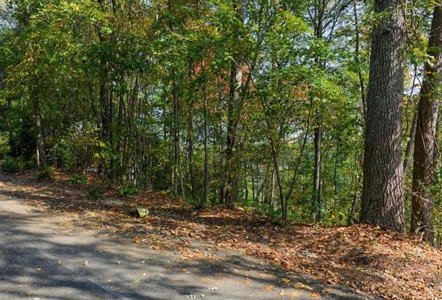 LOT 81 Lillie Drive, Ellijay, GA 30540