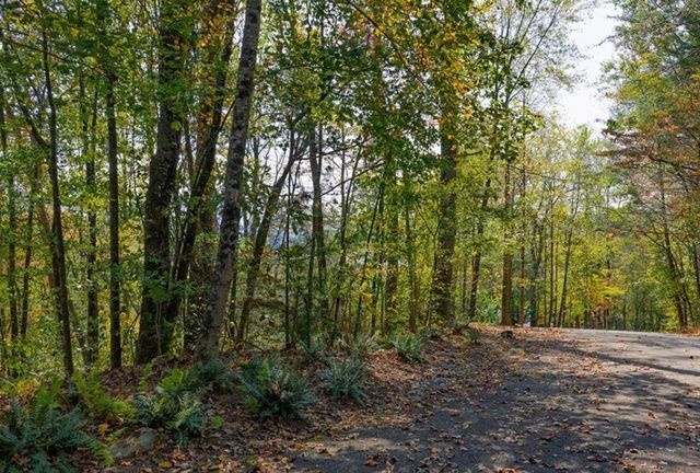 LOT 81 Lillie Drive, Ellijay, GA 30540