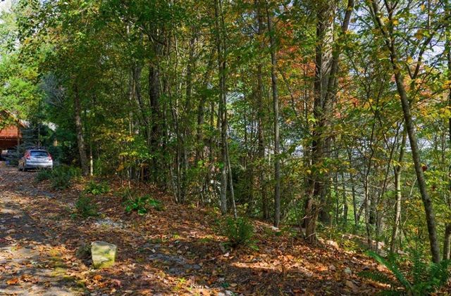 LOT 81 Lillie Drive, Ellijay, GA 30540