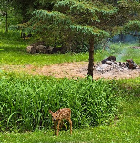 N6830 Tippecanoe TRAIL, Elkhorn, WI 53121
