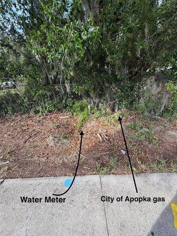 1185 APOPKA BOULEVARD, Apopka, FL 32703