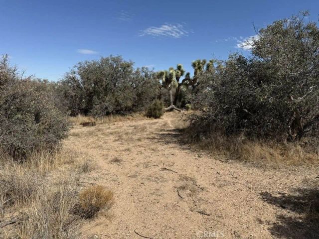 8135 Joshua, Phelan, CA 92371