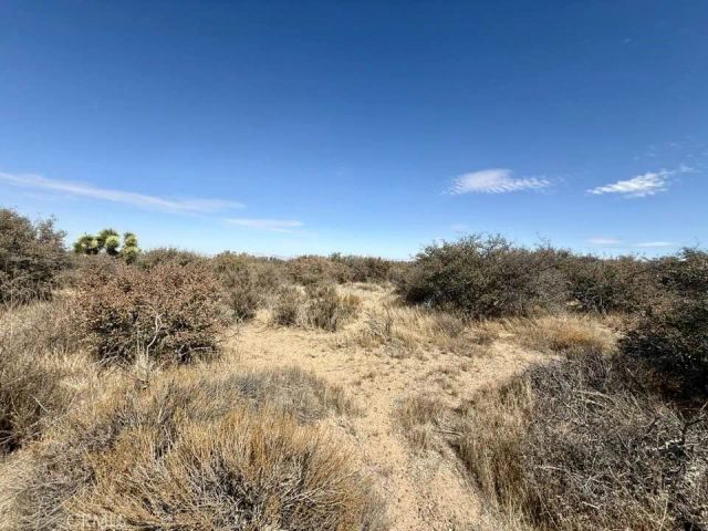 8135 Joshua, Phelan, CA 92371