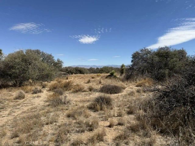 8135 Joshua, Phelan, CA 92371