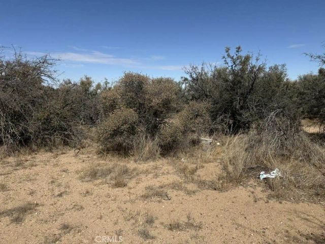 8135 Joshua, Phelan, CA 92371