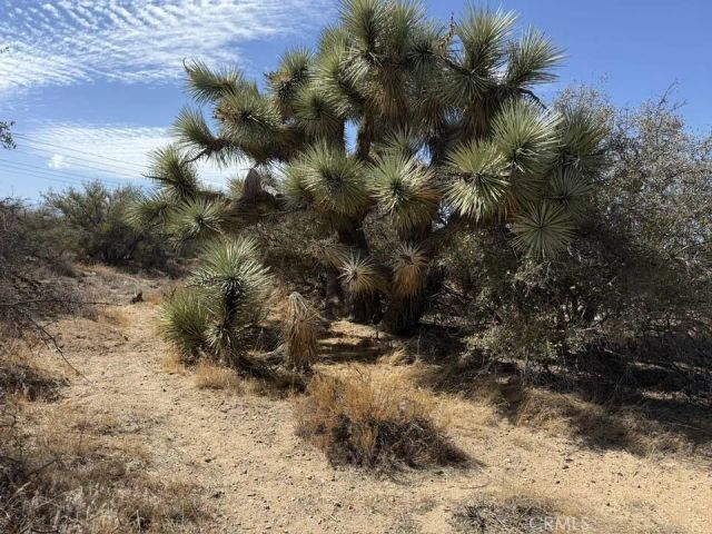 8135 Joshua, Phelan, CA 92371