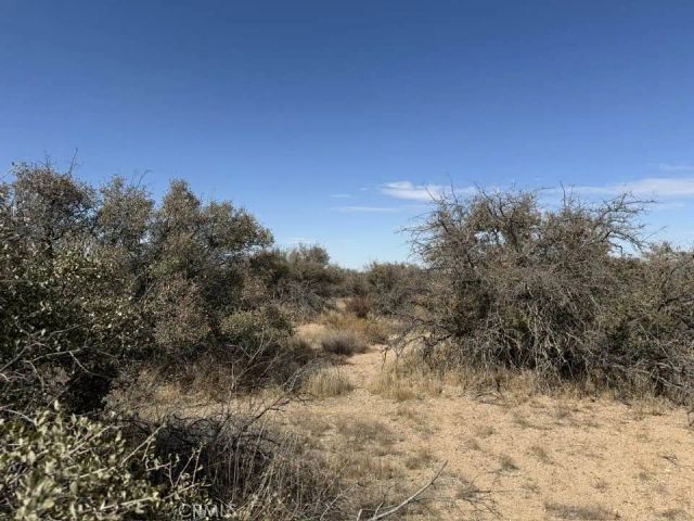 8135 Joshua, Phelan, CA 92371