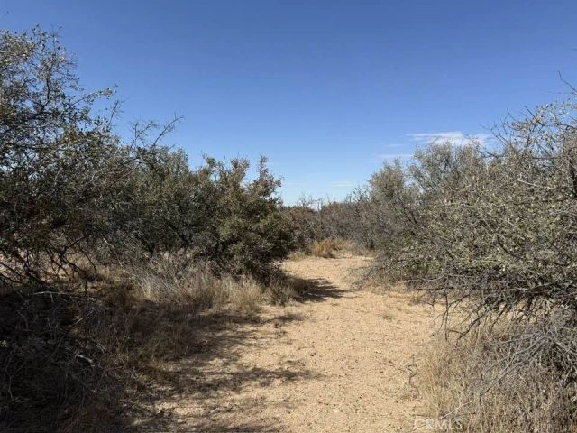 8135 Joshua, Phelan, CA 92371
