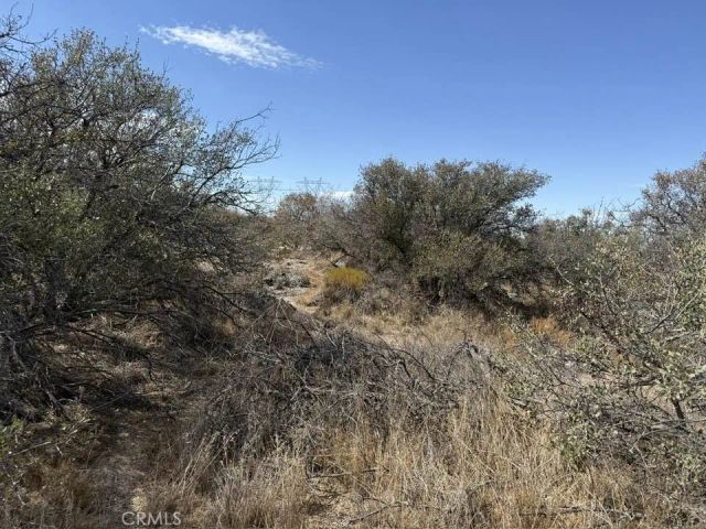 8135 Joshua, Phelan, CA 92371