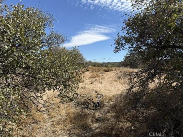 8135 Joshua, Phelan, CA 92371