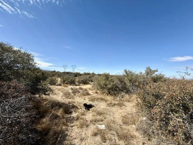 8135 Joshua, Phelan, CA 92371