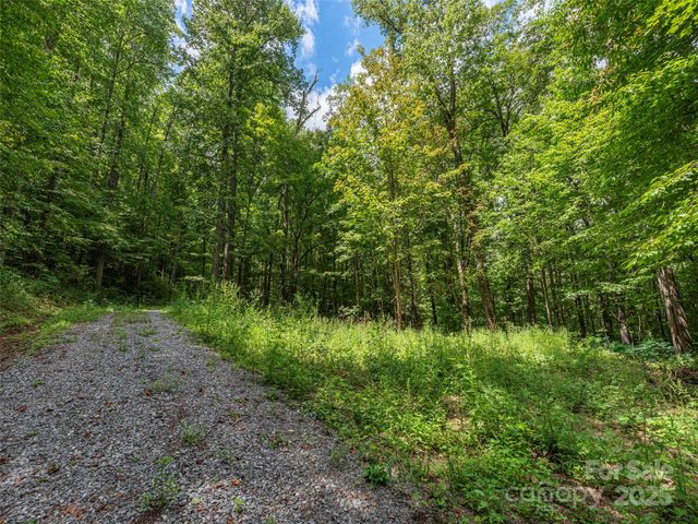 000 Flowing Brook Lane 3, Waynesville, NC 28786