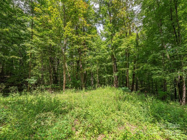 000 Flowing Brook Lane 3, Waynesville, NC 28786