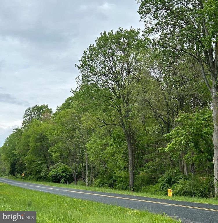 BUCK NECK ROAD, Chestertown, MD 21620