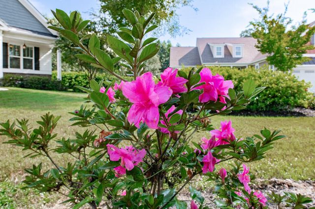 1033 Cooper Place Drive, North Augusta, SC 29860