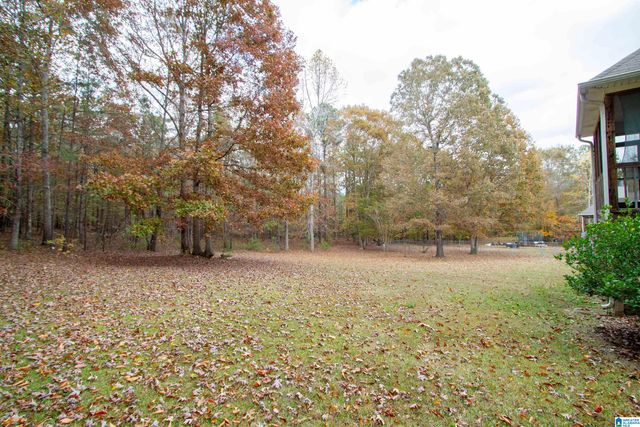 365 TURKEY TRAIL ROAD, Odenville, AL 35120