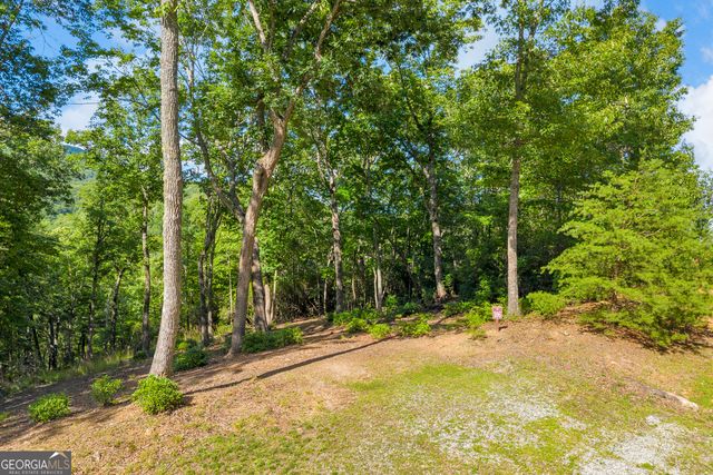 0 Lake Watch PT, Cleveland, GA 30528