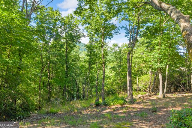 0 Lake Watch PT, Cleveland, GA 30528