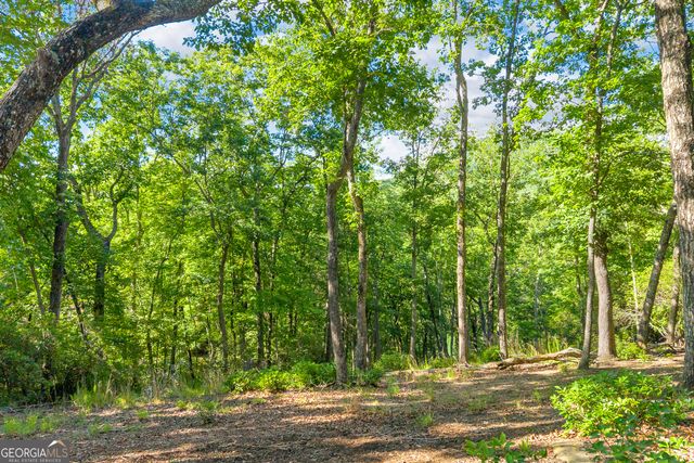 0 Lake Watch PT, Cleveland, GA 30528