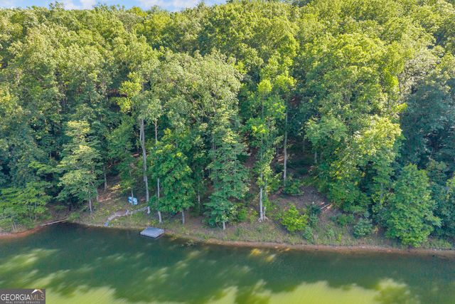 0 Lake Watch PT, Cleveland, GA 30528