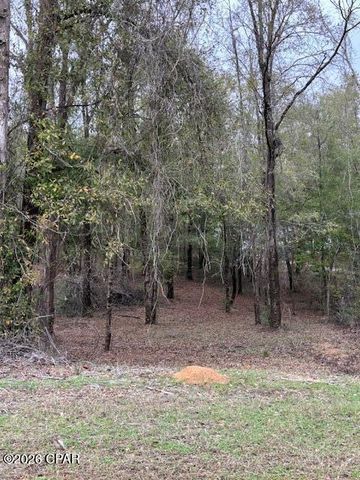 2816 Territory Road, Chipley, FL 32428