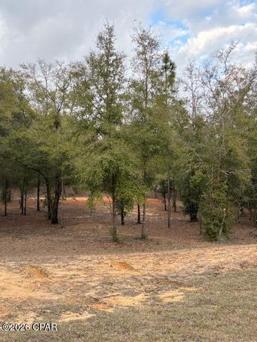 2816 Territory Road, Chipley, FL 32428