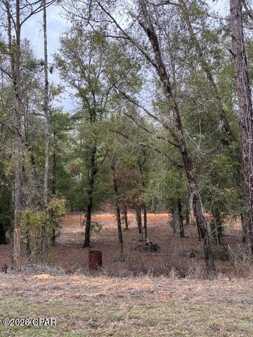 2816 Territory Road, Chipley, FL 32428