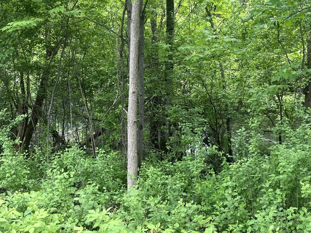 11344 Elk Lane NW, Elk River, MN 55330