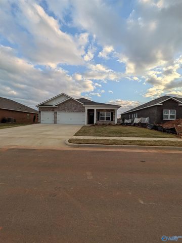 336 NE Jackson Point Circle NE, New Market, AL 35811