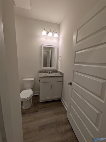 336 NE Jackson Point Circle NE, New Market, AL 35811