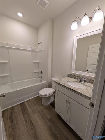 336 NE Jackson Point Circle NE, New Market, AL 35811