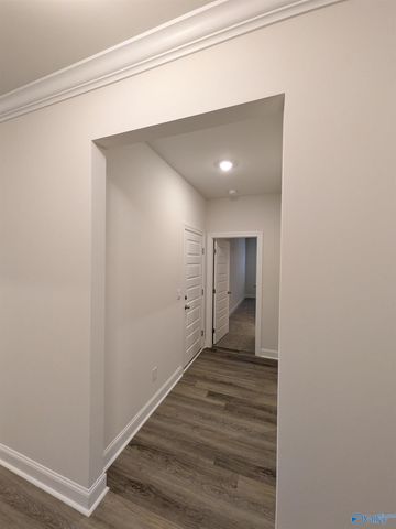 336 NE Jackson Point Circle NE, New Market, AL 35811