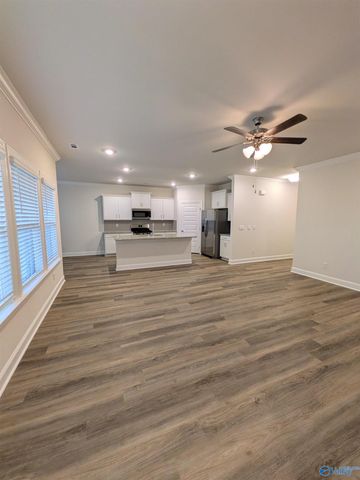 336 NE Jackson Point Circle NE, New Market, AL 35811