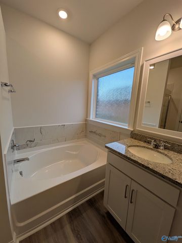 336 NE Jackson Point Circle NE, New Market, AL 35811