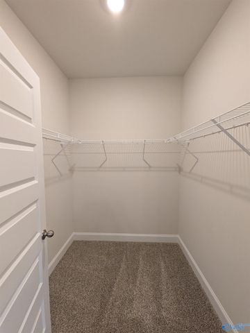 336 NE Jackson Point Circle NE, New Market, AL 35811