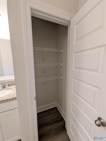 336 NE Jackson Point Circle NE, New Market, AL 35811