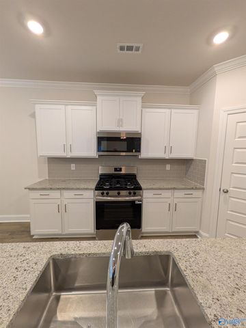 336 NE Jackson Point Circle NE, New Market, AL 35811