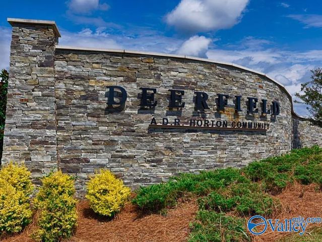 336 NE Jackson Point Circle NE, New Market, AL 35811