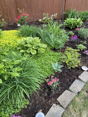 6105 FRANCES WOOD DR, Bartlett, TN 38135