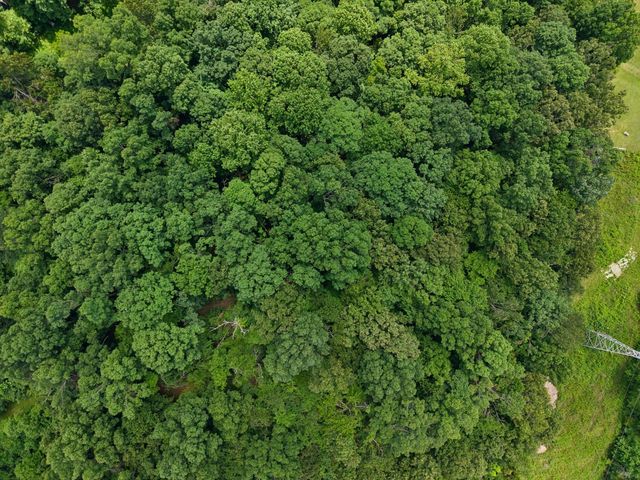 7368 Walker Rd, Fairview, TN 37062