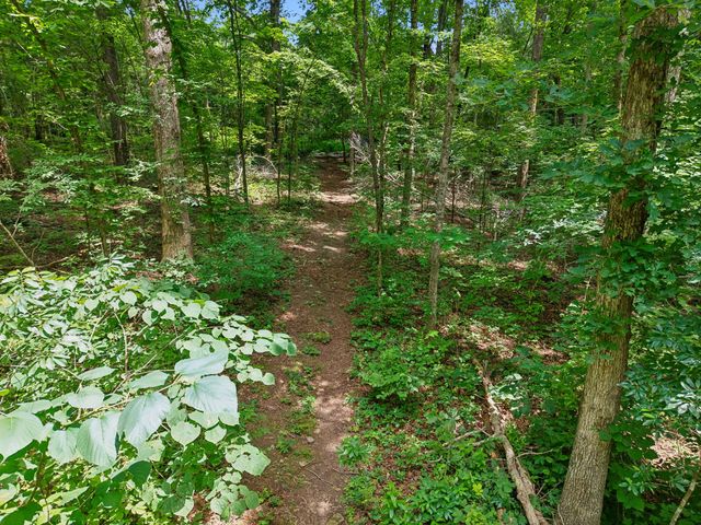 7368 Walker Rd, Fairview, TN 37062