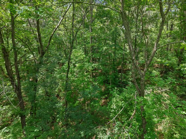 7368 Walker Rd, Fairview, TN 37062