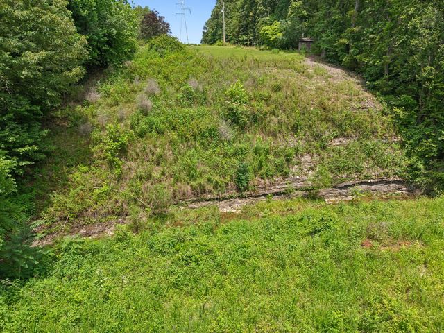 7368 Walker Rd, Fairview, TN 37062