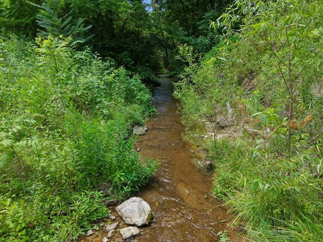 7368 Walker Rd, Fairview, TN 37062