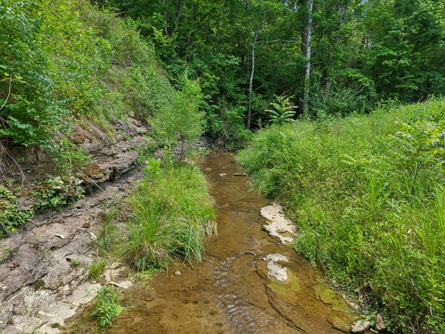 7368 Walker Rd, Fairview, TN 37062